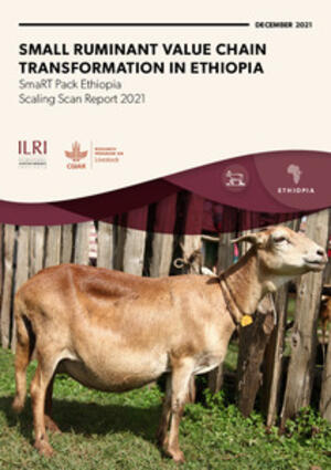 Small Ruminant Value Chain Transformation In Ethiopia: Scaling Scan Report